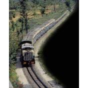 Day 06 (Amritsar to Tirupati Darshan by train 6 NIGHTS  7 DAYS).jpg
